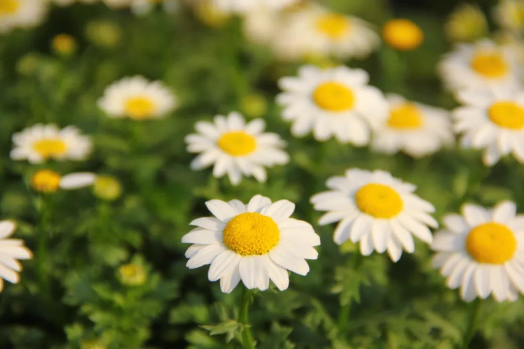 怎样才是正确的摄影拍摄姿势,学会这9个摄影技巧