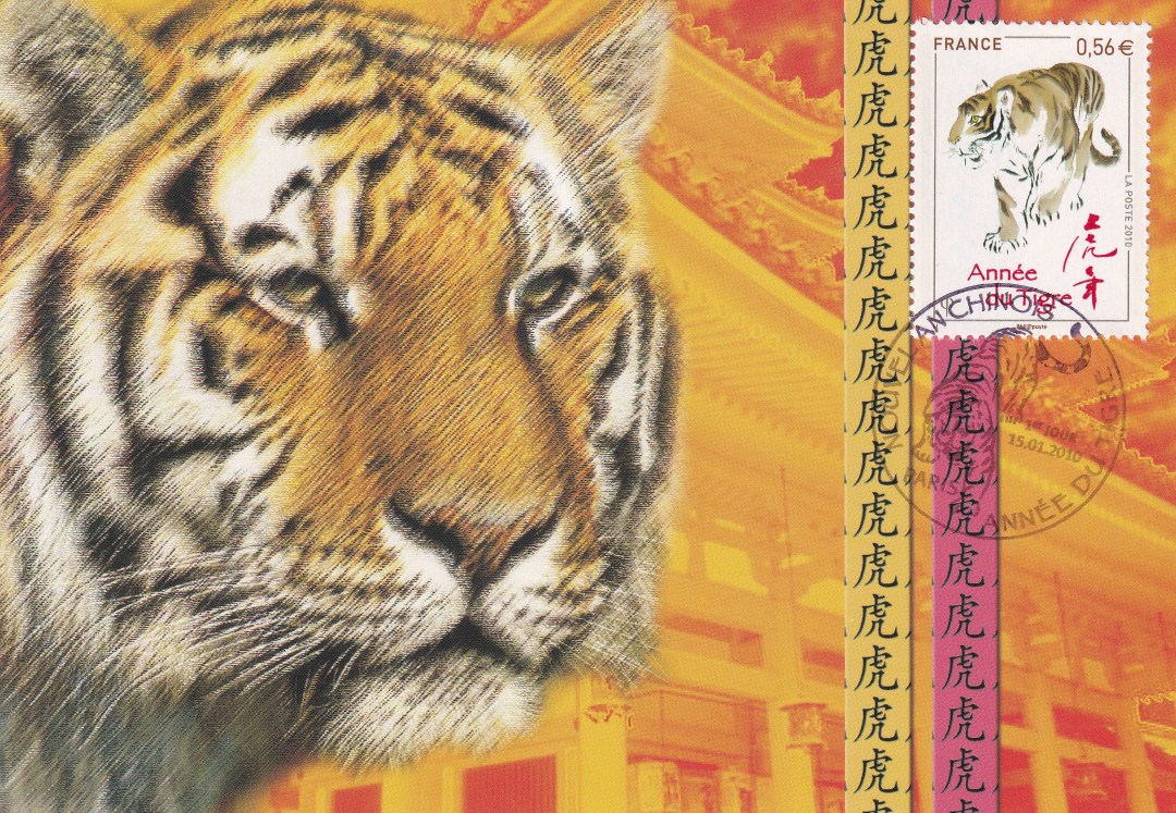 壬寅年虎首银章,壬寅年生肖虎每月运势详解