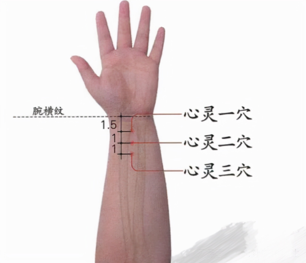 中医经络调理针灸视频,中医针灸规范处方范例