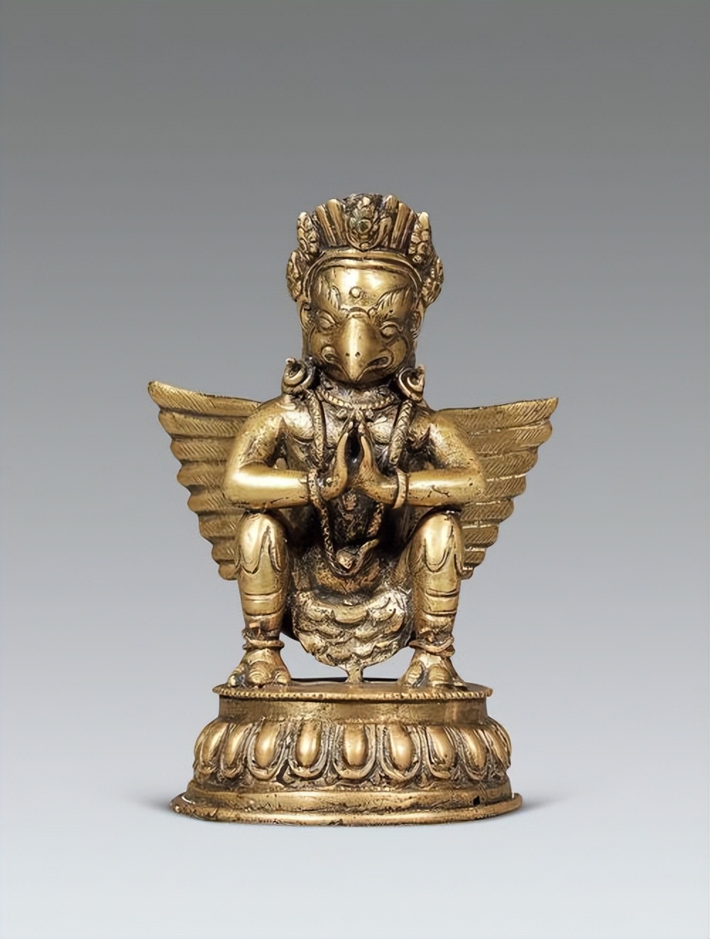 金翅鸟图像分析,金翅鸟视频大全