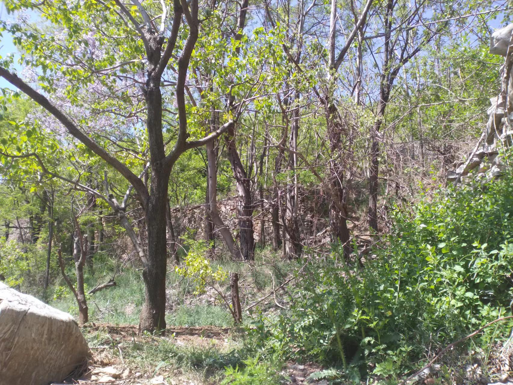 临朐自然美,临朐新美丽