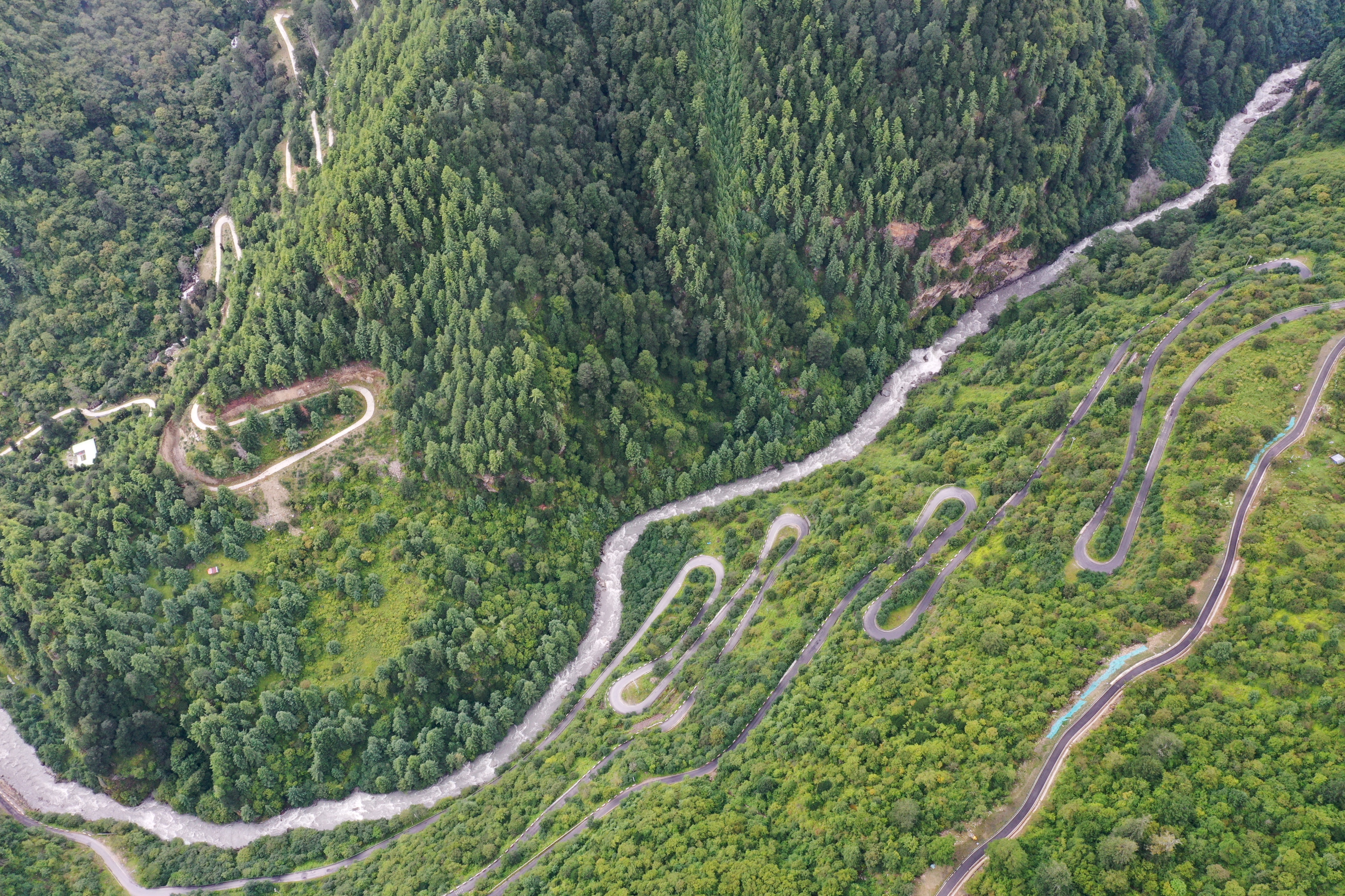 云南最高海拔的茶叶,海拔最高的茶叶产地在哪里