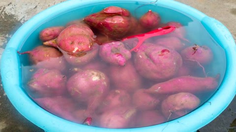 三九补一冬吃什么食物,冬补三九下一句