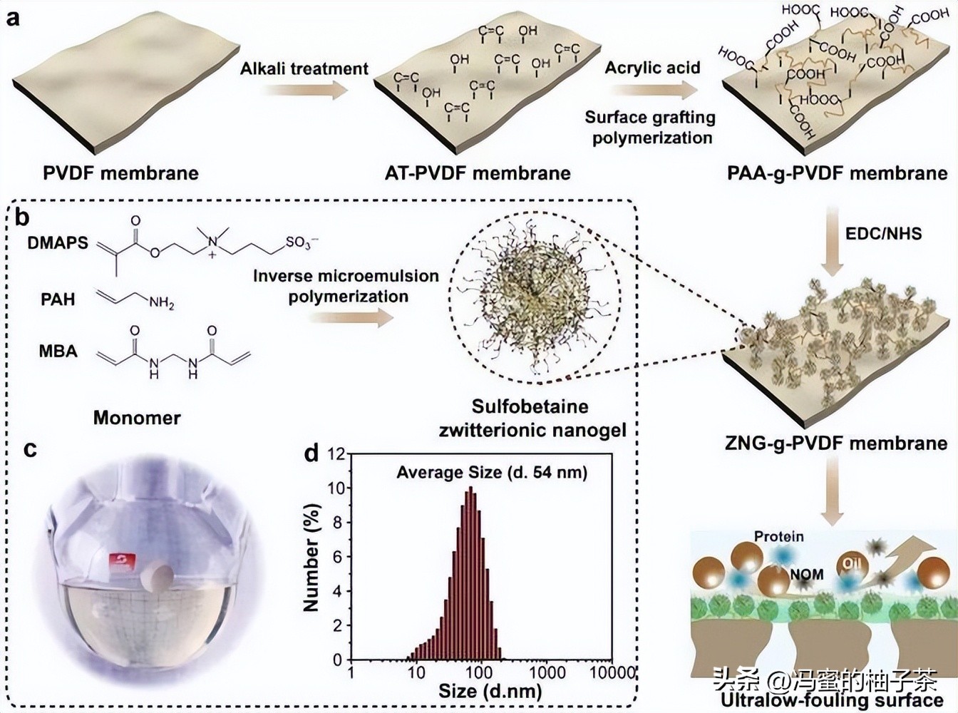 为何分级组织的天然衍生材料,是高性能生物纳米复合材料的候选?