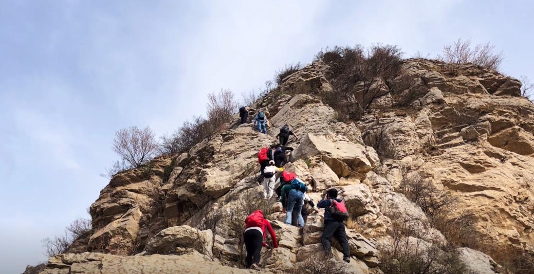 郑州最适合踏青赏花爬山的地方,郑州春日赏花好去处推荐