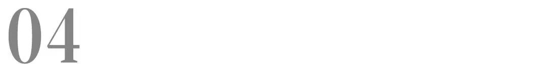 小红书上猫狗搜索热词有哪些？来看看这篇报告就知道了