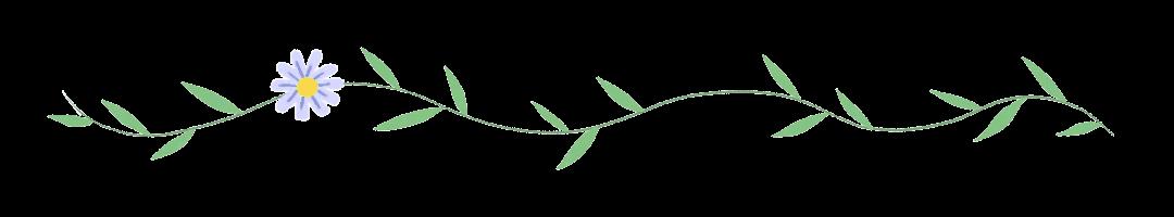 五言律诗咏梅五首,咏梅的最佳诗词七律