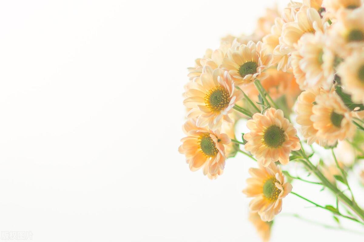 正能量励志三观很正的名言名句,三观正能量句子简短励志