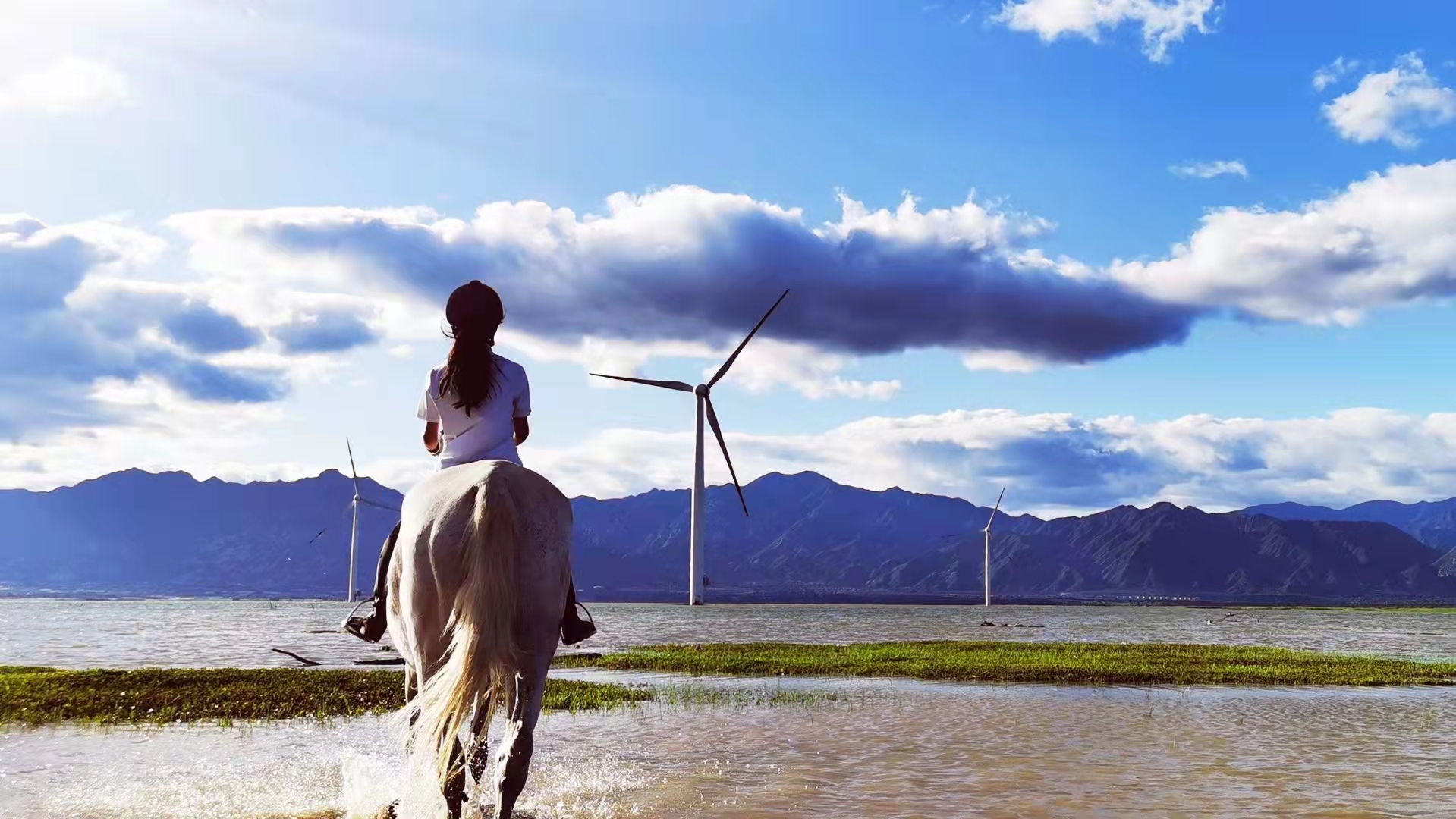 2023华杯赛夏令营,华誉外交官夏令营