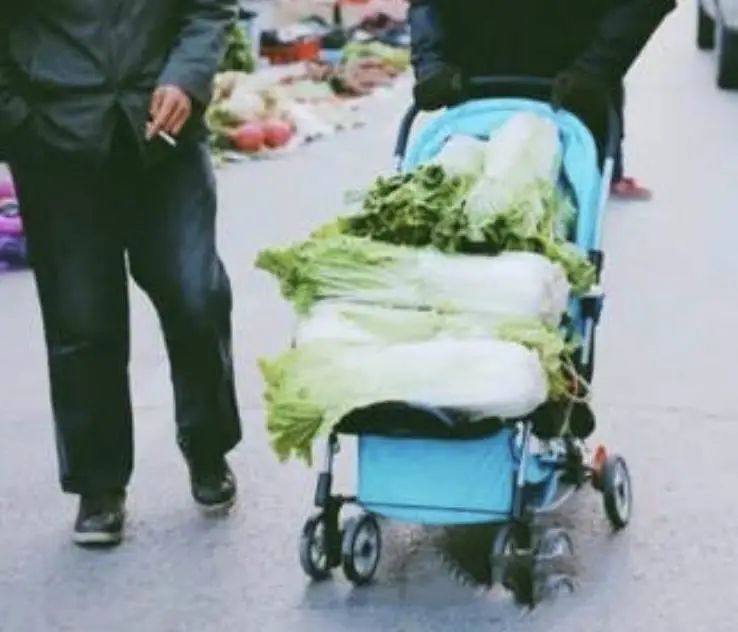 东北人冬天买白菜,盘点东北人买白菜