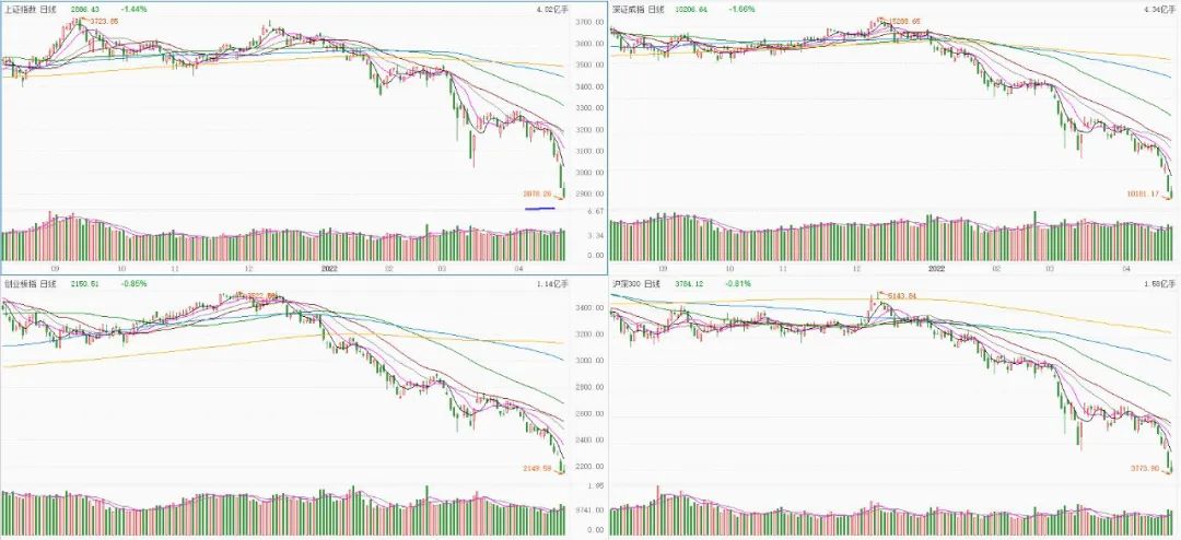 今日观股,今日看好哪些股票
