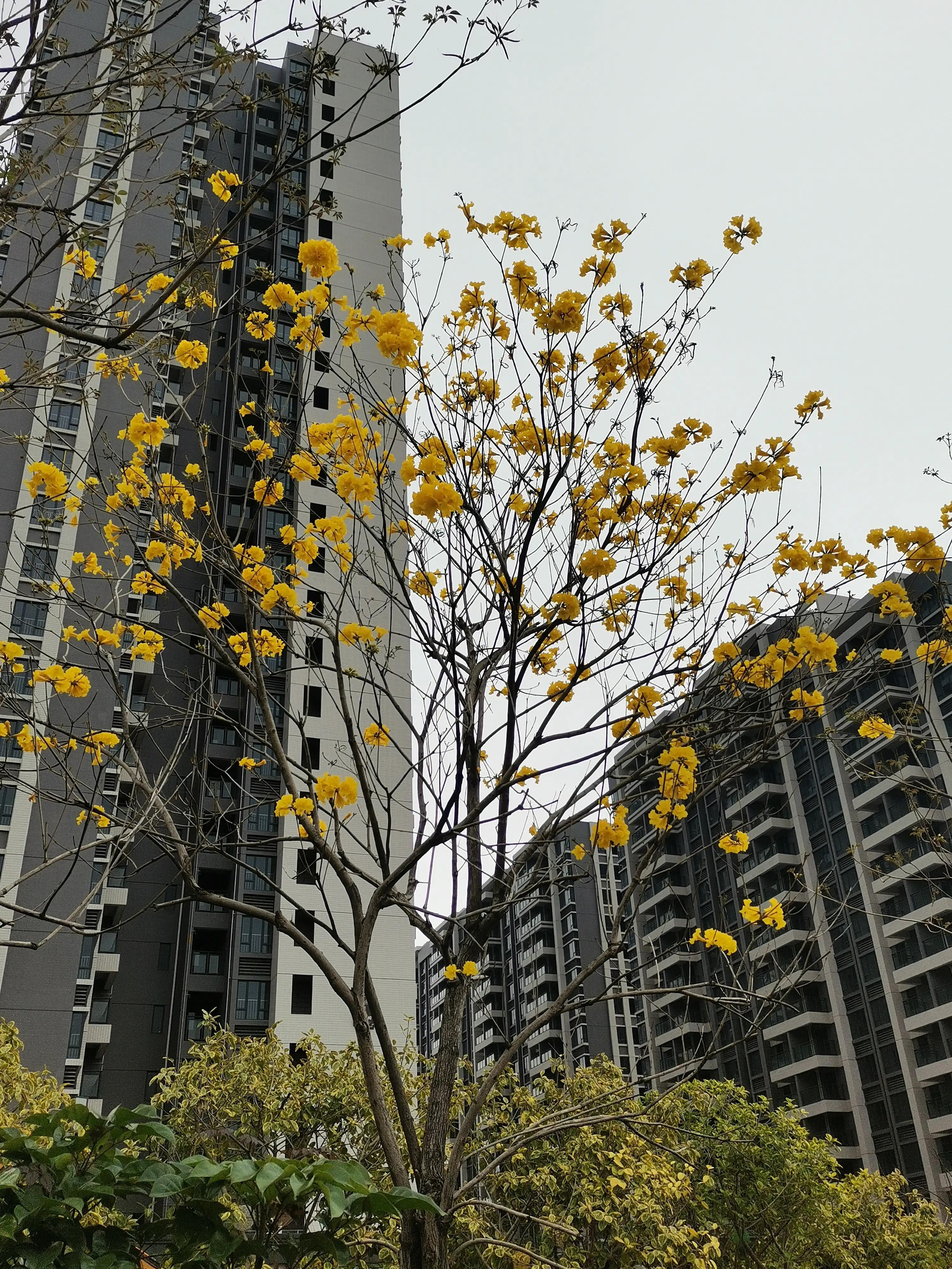 痛风患者运动治疗逆袭,有几种运动方法治好痛风