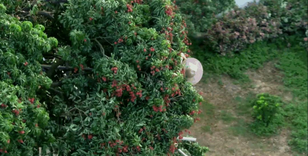 航拍中国广西第四季解说词,航拍中国第四季广西在哪看