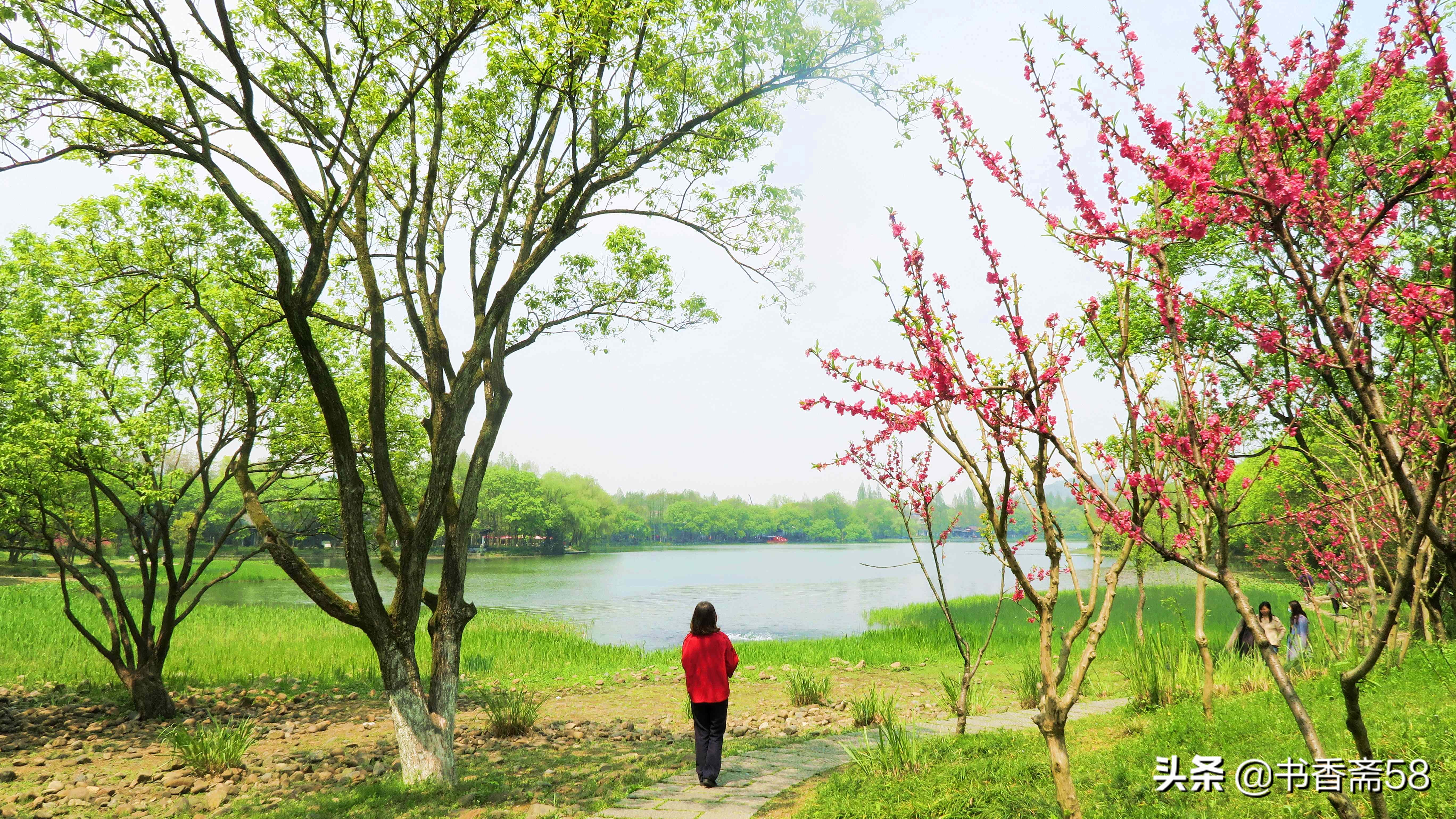 游玩西湖最佳线路攻略,西湖游览公交车路线