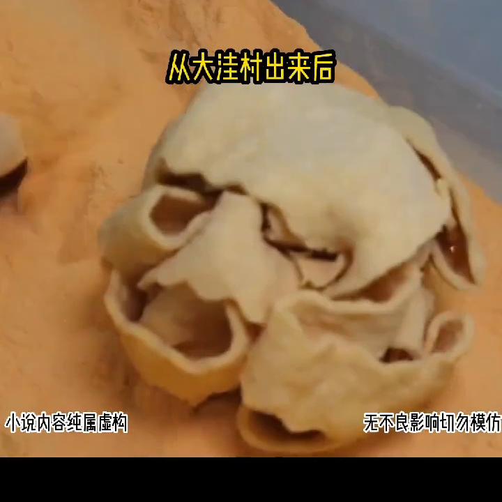 蓝鲸故事会抖音小程序怎么没有了,蓝鲸故事会抖音小程序