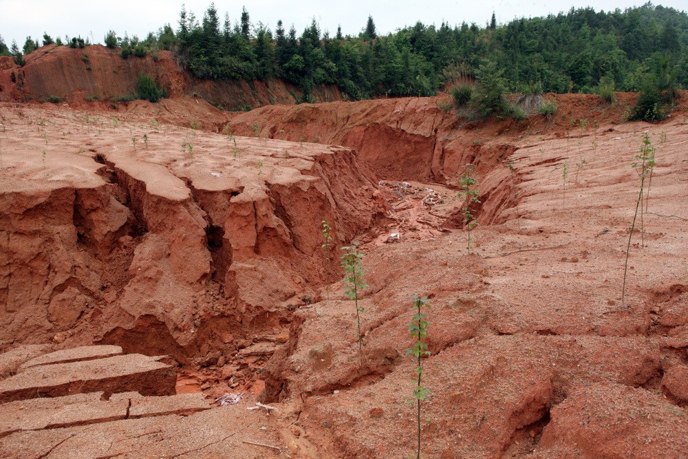 中国*土稀**之钕，中国工业的瑰宝，美国怎样禁？如何用好这张王牌？
