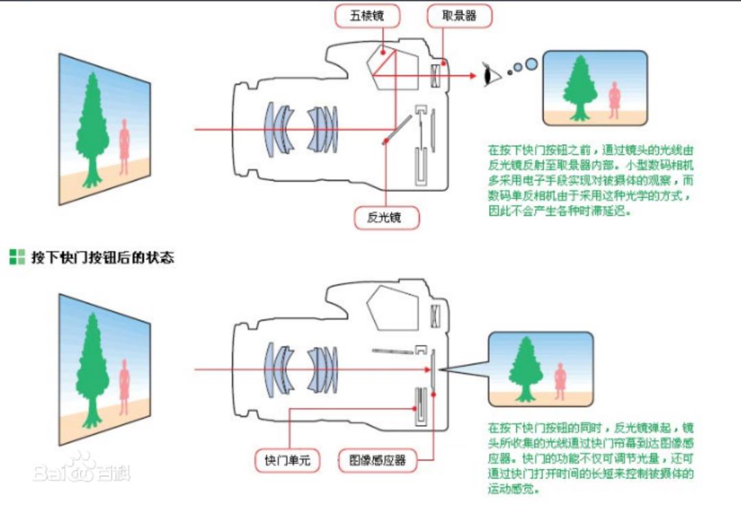 微单和单反哪个更值得入手,单反和微单哪个拍照好