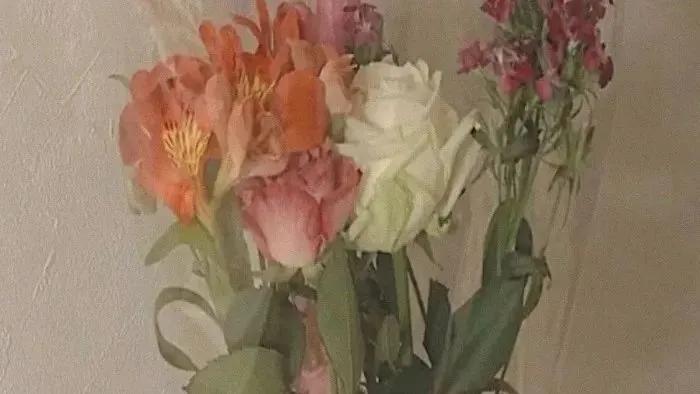 想了很久怎么描写,想了很久怎么说有诗意