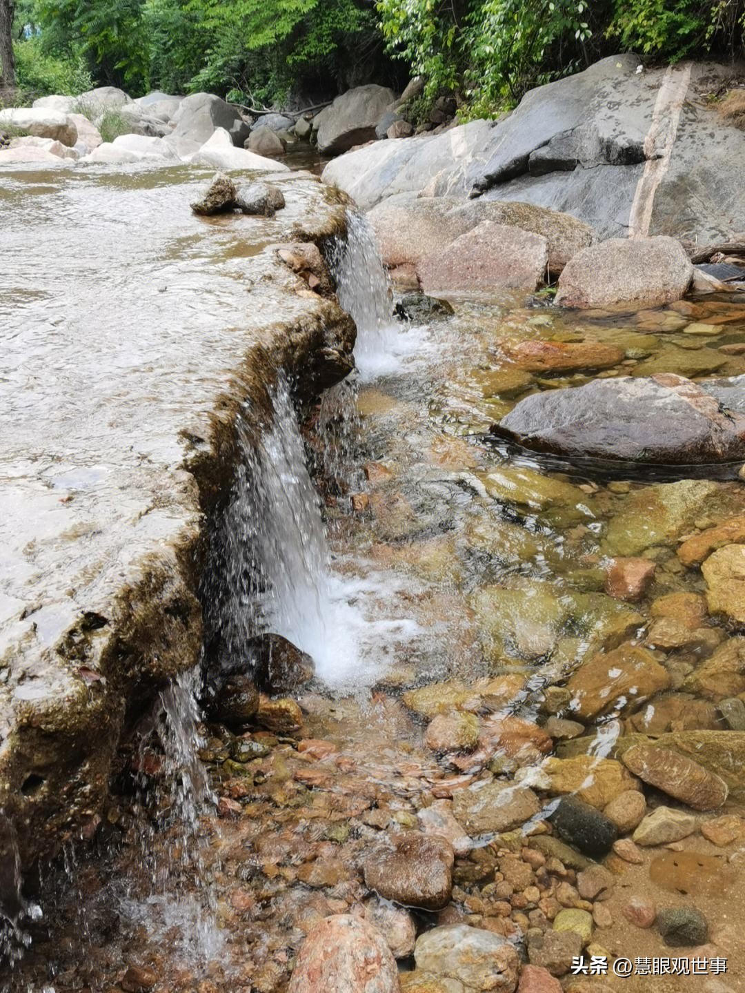 语文古诗词必背大全,古诗词考试必背诗句