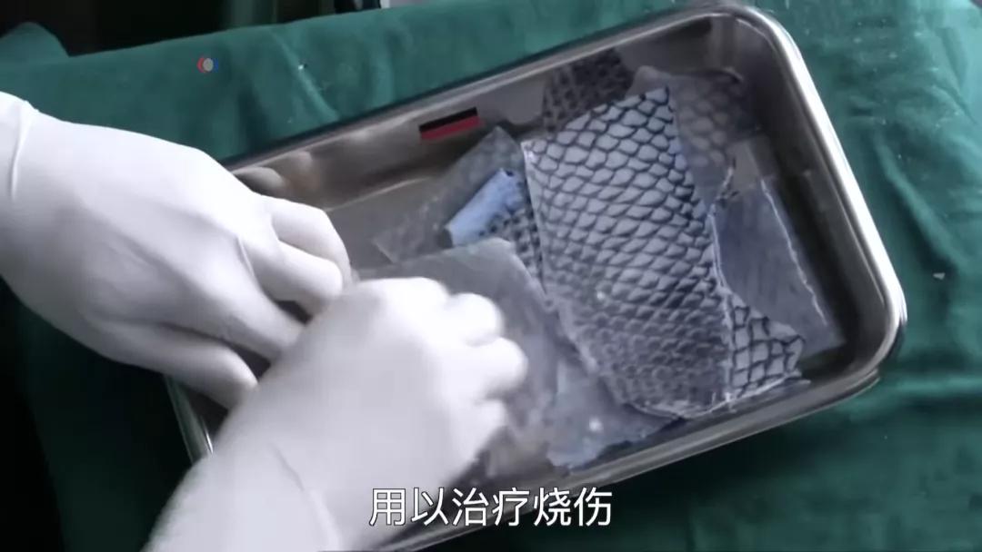 罗非鱼广东人爱吃,为什么美国人喜欢罗非鱼