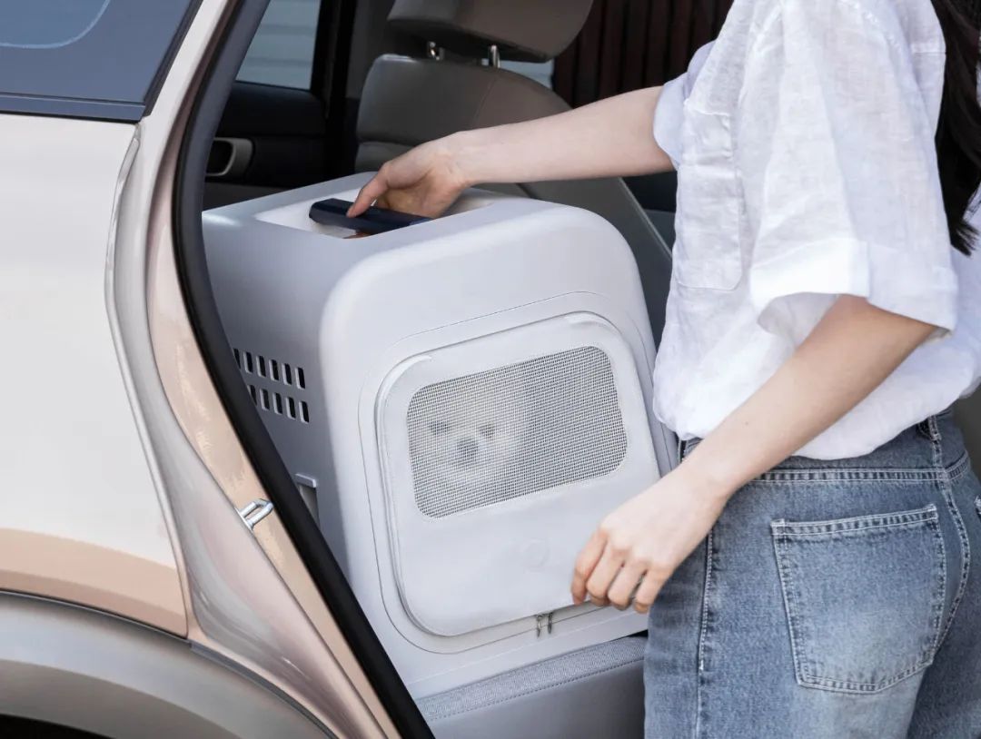 2022年iF设计奖：宠物用品类