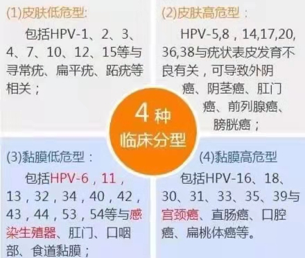 hpv对女性健康有什么影响,了解hpv的动漫视频
