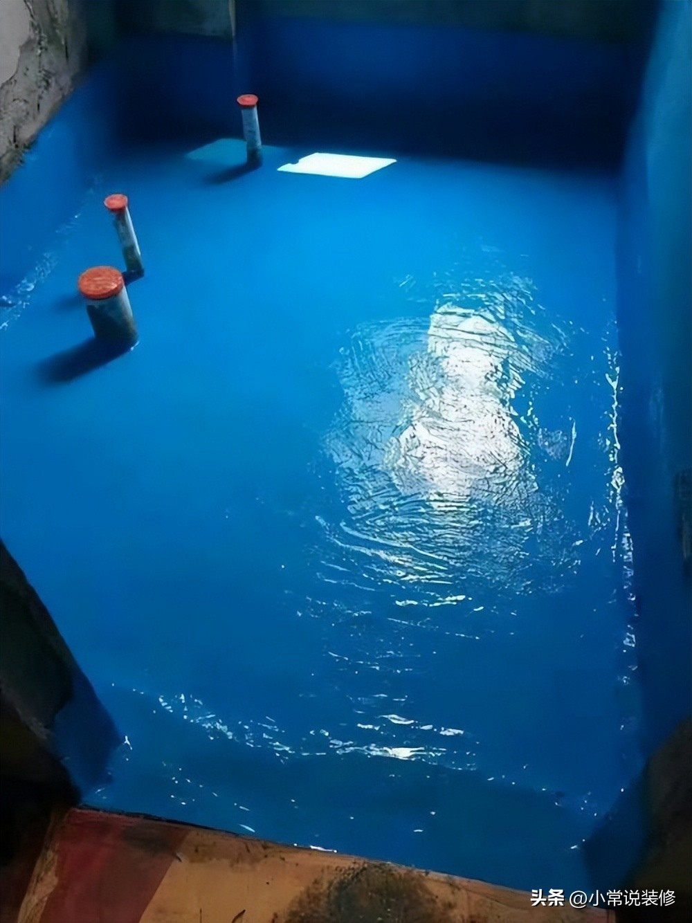 自己装修房子动手全过程,室内装修哪个项目比较好做