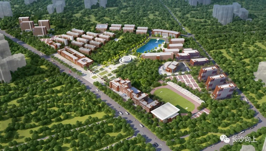 林科大涉外学院和张家界学院,湖南长沙林科大涉外学院