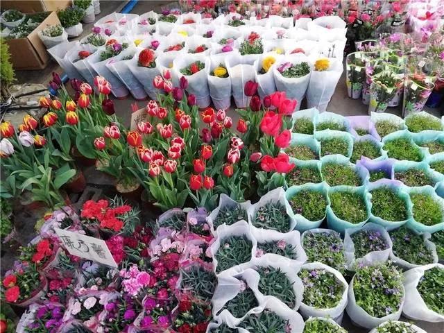 各行业赚钱的门道,关于怎么赚钱的冷知识大全