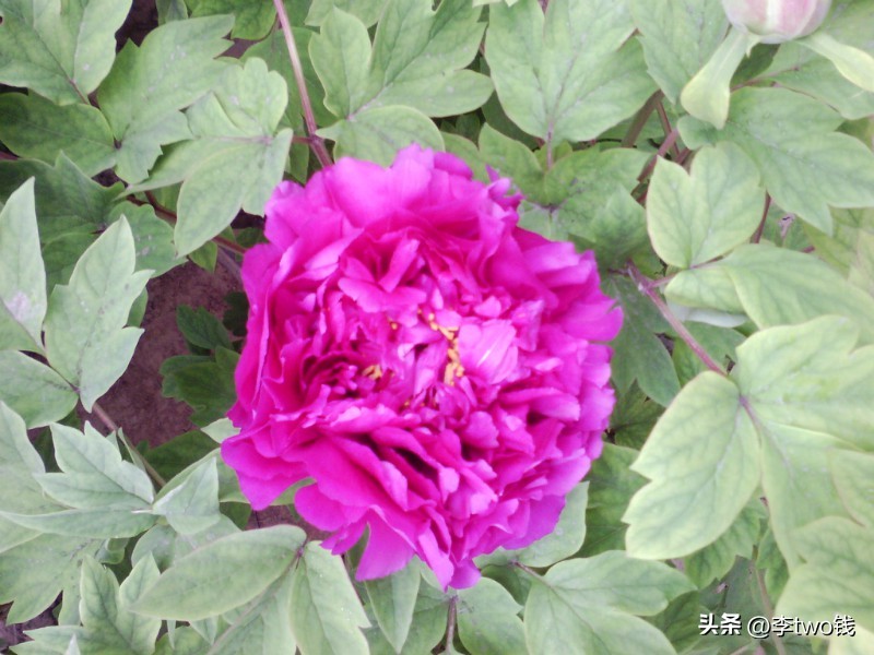 2008年火爆的流行的抒情歌,2005年到2008年最火的歌曲