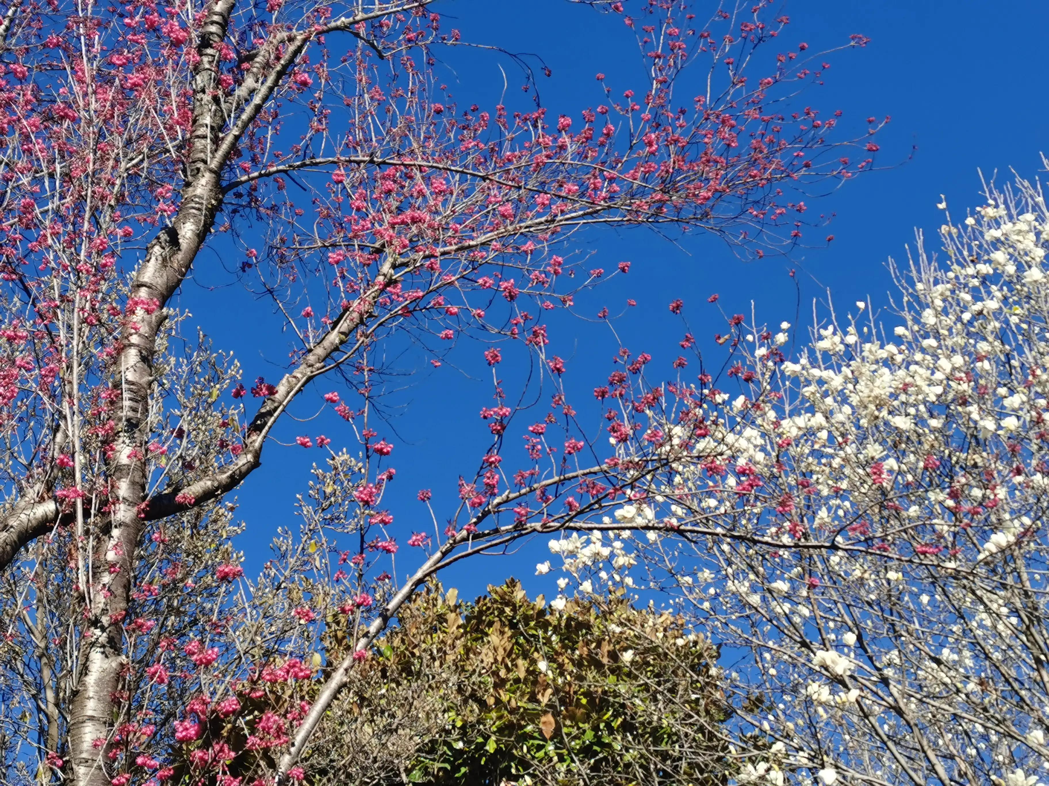 被上天眷顾的地方是哪里,传说中的木府