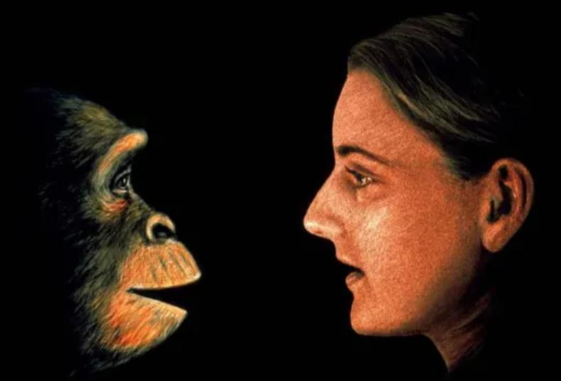 美国女孩艾米丽在中国,美国小女孩艾米丽现在长大了