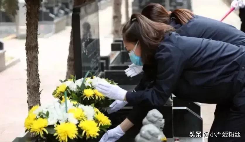 代扫墓收入情况,代扫墓成功后费用