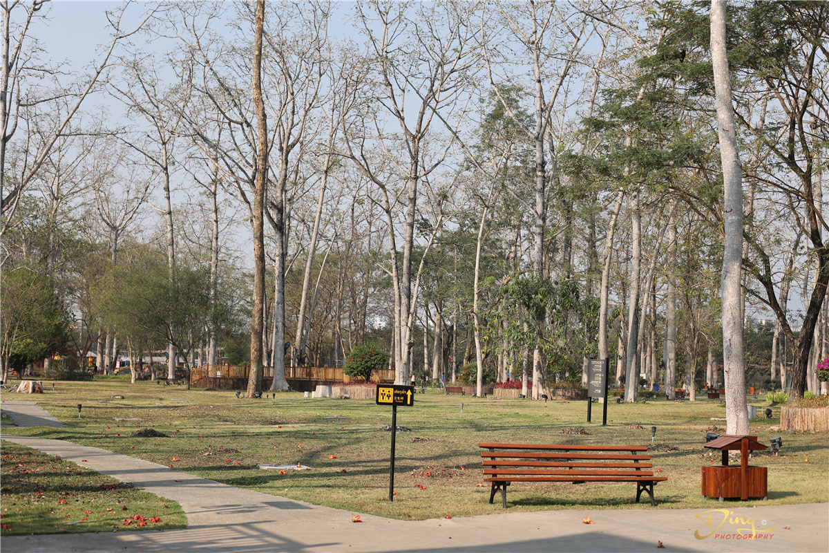 老挝之旅带你了解真实的老挝,去老挝攻略最新