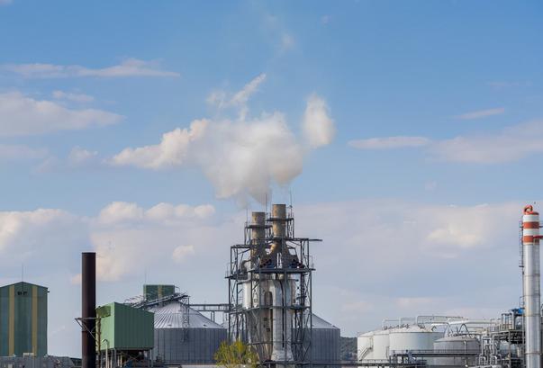 世界首个！牛羊打嗝也要收税？这个国家的做法大有深意