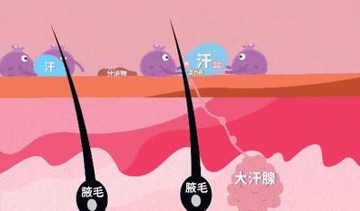 为什么有些人汗味特别重,有的人汗味很重有的人没有汗味