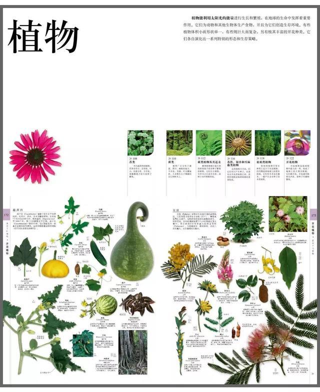 新东方直播间董宇辉录屏,新东方直播间董宇辉讲英语