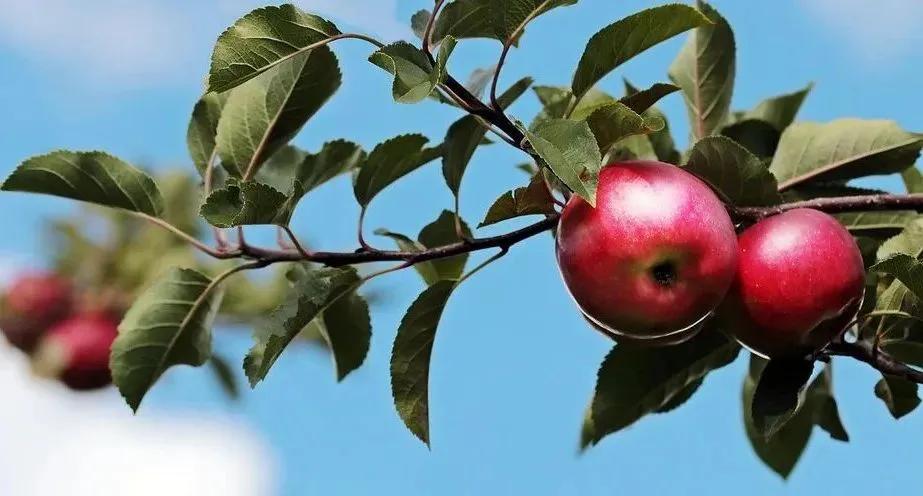 青春密语|性冲动烦恼，如何理性对待？