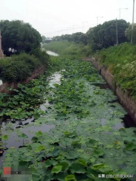上海自驾西山旅游攻略,苏州东山一日游自驾游最佳路线图