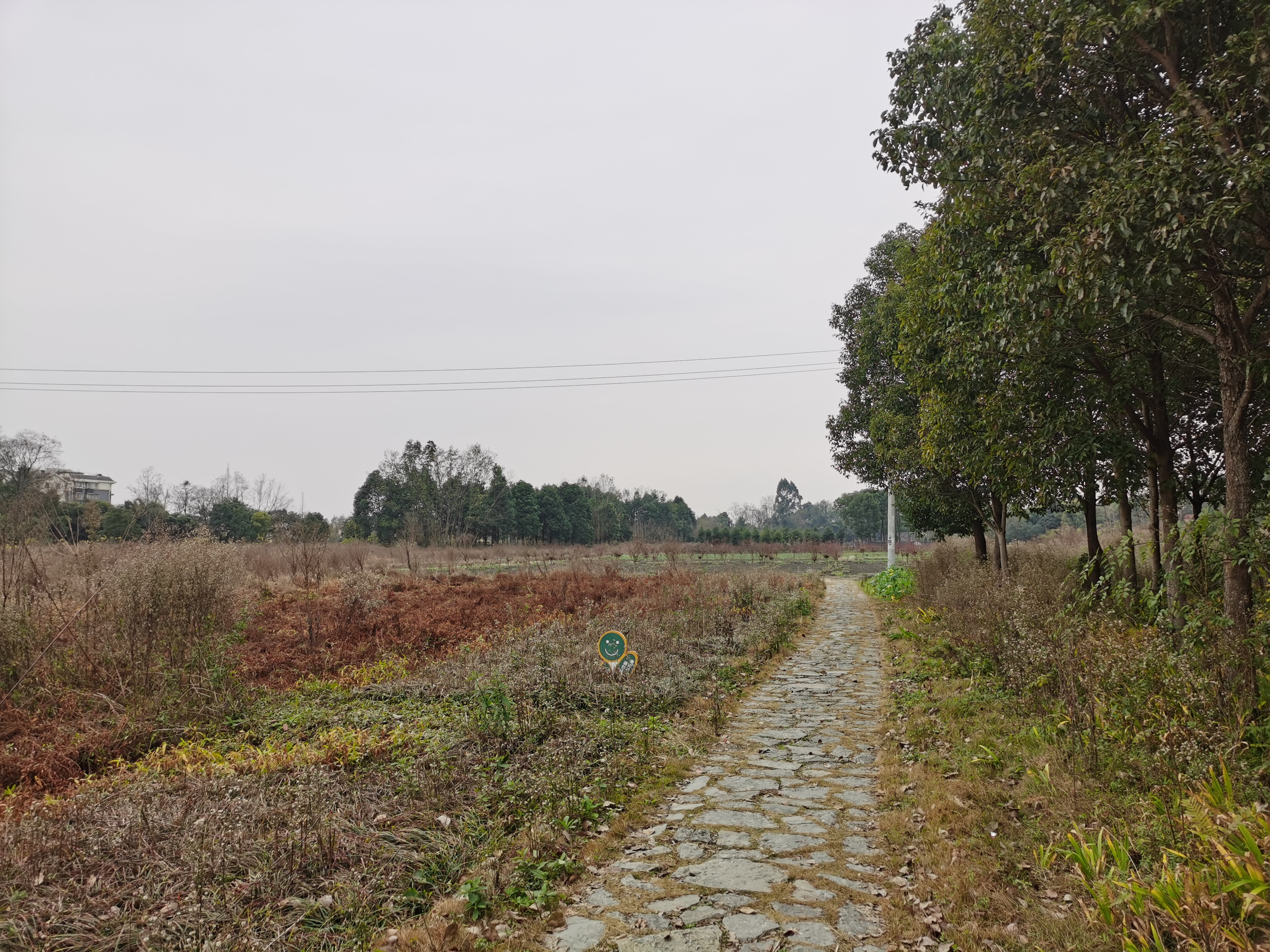 郫县古城遗址游玩攻略,成都之行圆满结束