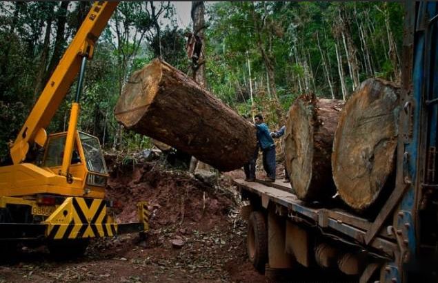 选购中式家具技巧,中式家具三大流派家具鉴赏