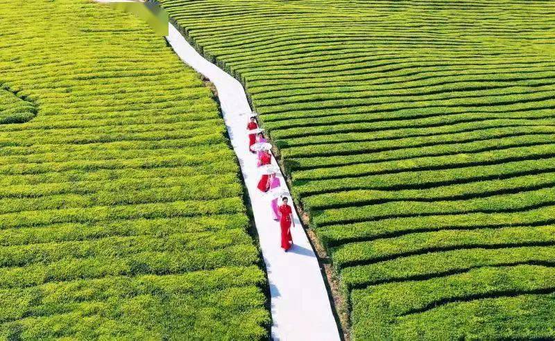 河南省卫辉市,河南卫辉是哪