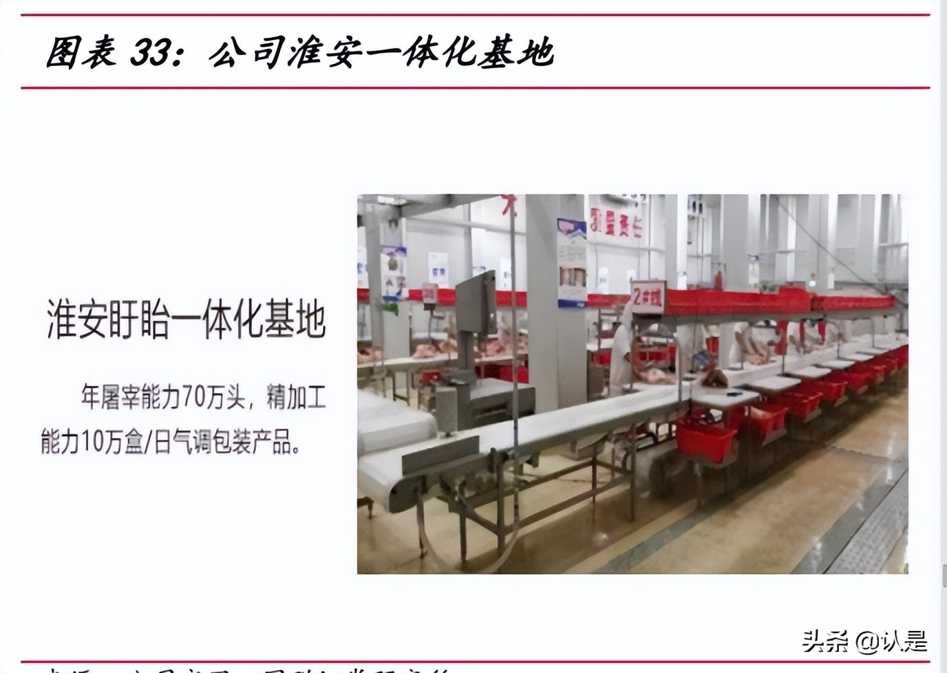 生猪养殖行业研报,生猪养殖企业盈利预期预测