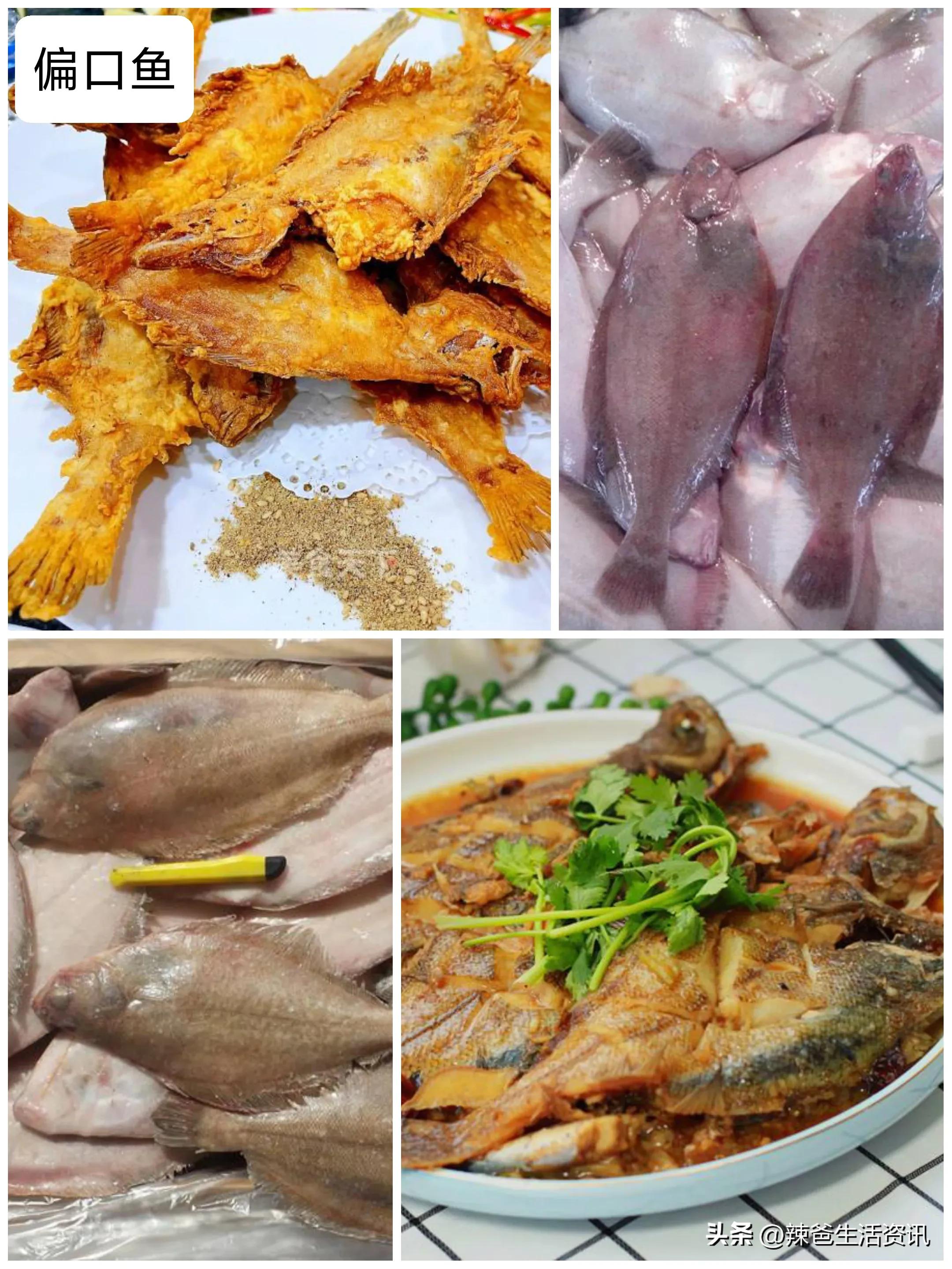 好吃不贵的野生海鱼,十种好吃不贵的正宗海鱼