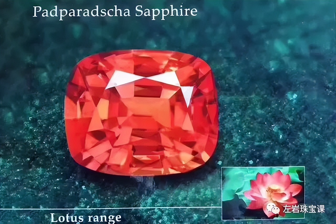 左岩奥斯卡完整版,左岩世界吉尼斯珠宝纪录保持者