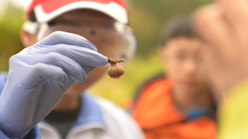 云南六一儿童节旅游攻略,云南适合小朋友旅游的地方