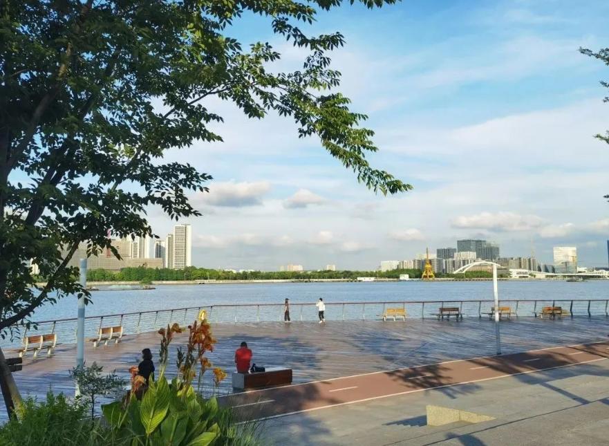 徐汇新盘2024,上海徐汇热门新楼盘