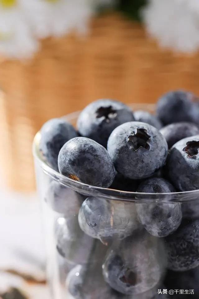 云南昆明蓝莓果,云南丽江蓝莓果