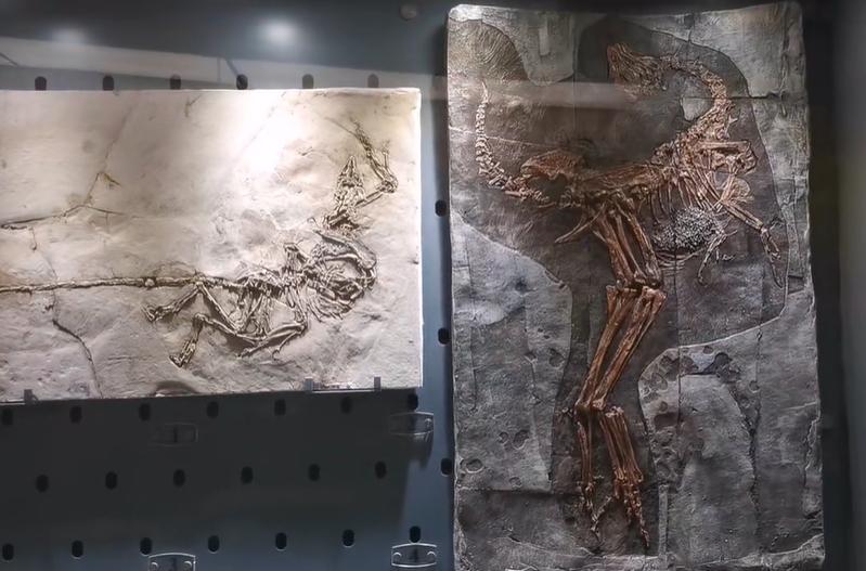 郑州室内旅游攻略必去景点,郑州景点室内游玩攻略