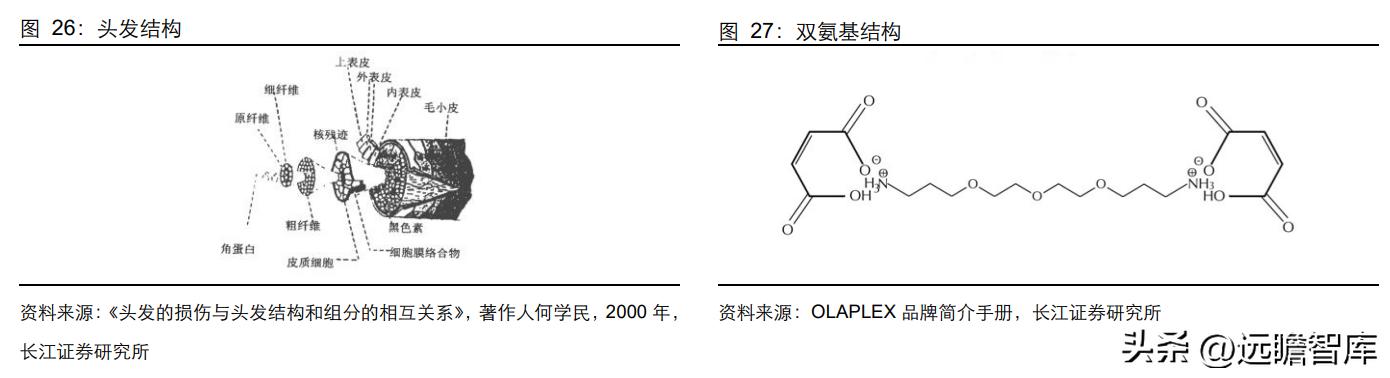 新一代高端洗护新品,高端洗护产品